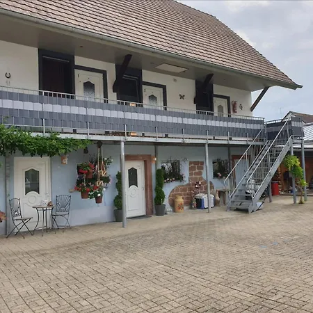 Gaestehaus Viktoriya Nur Wenige Minuten Zum Europa-park Guest house